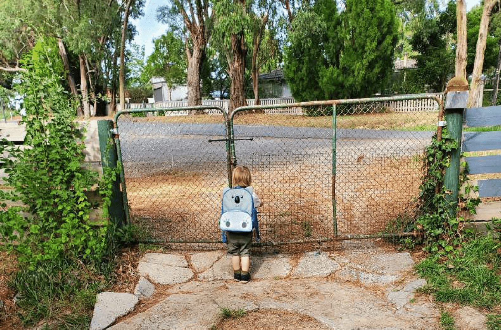 A mindful child contemplating his world.